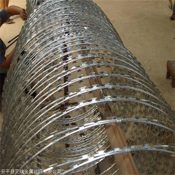 不銹鋼304蛇腹形刀刺網圖片3